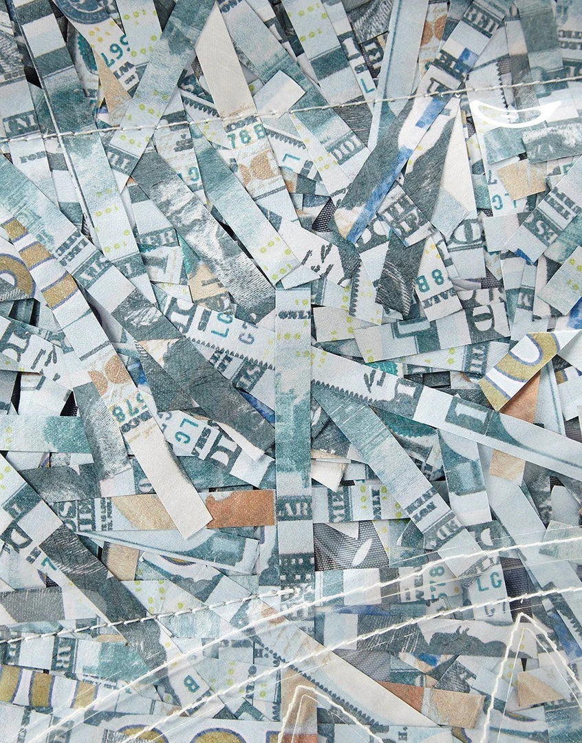 SPRAYGROUND® COUNTERFEIT (VINYL SHREDDED MONEY) 10 SPRAYGROUND® COUNTERFEIT (VINYL SHREDDED MONEY)