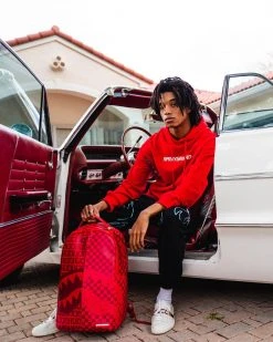 SPRAYGROUND® VENI VIDI VICI BACKPACK (DLXV)