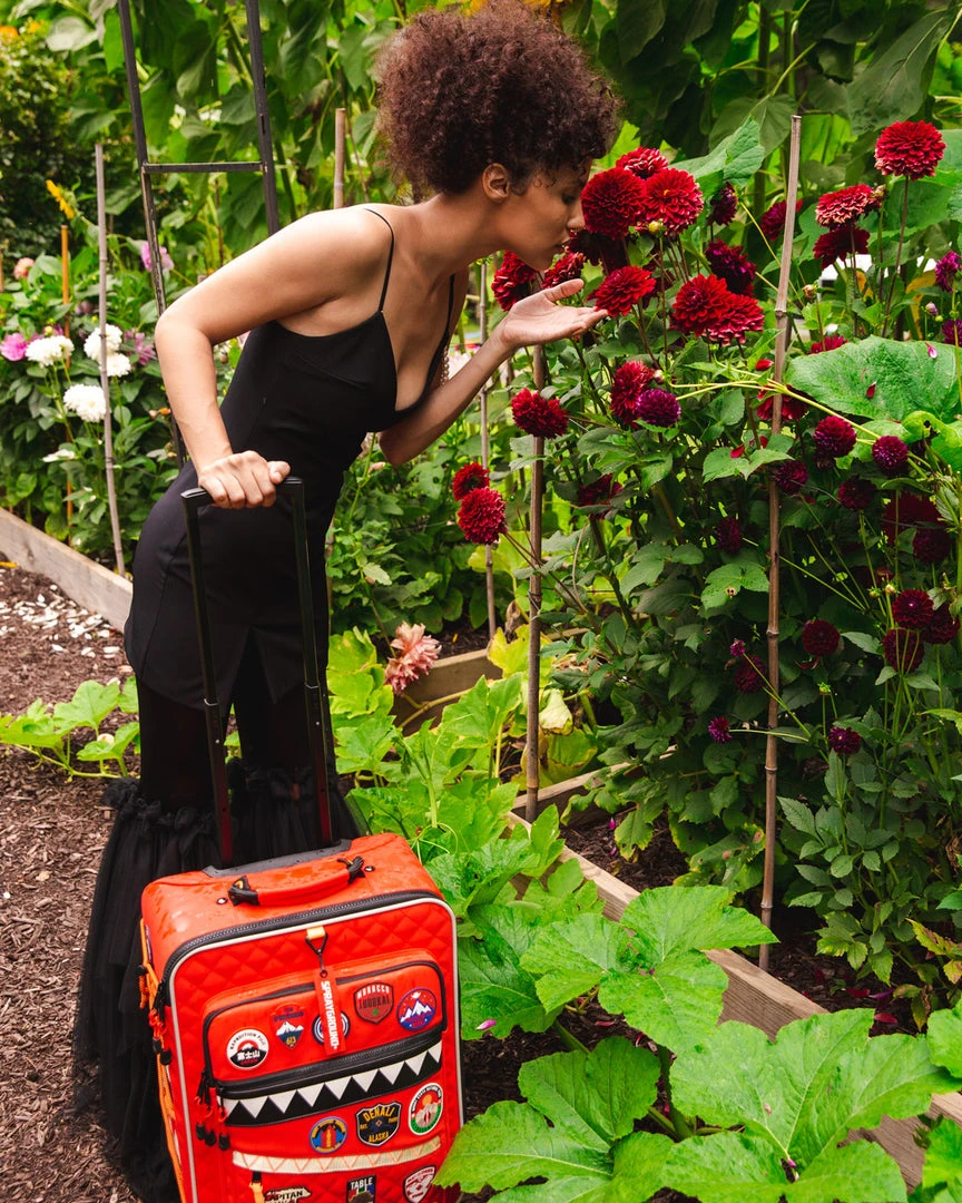 SPRAYGROUND® THE GLOBAL EXPEDITION CARRY-ON LUGGAGE 7 SPRAYGROUND® THE GLOBAL EXPEDITION CARRY-ON LUGGAGE