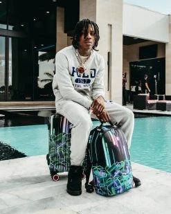 SPRAYGROUND® 暗号通貨スタック (CRYPTO STACKS) LUGGAGE CARRY-ON LUGGAGE