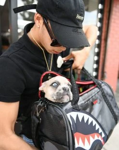 SPRAYGROUND® BAGS 3AM PET CARRIER